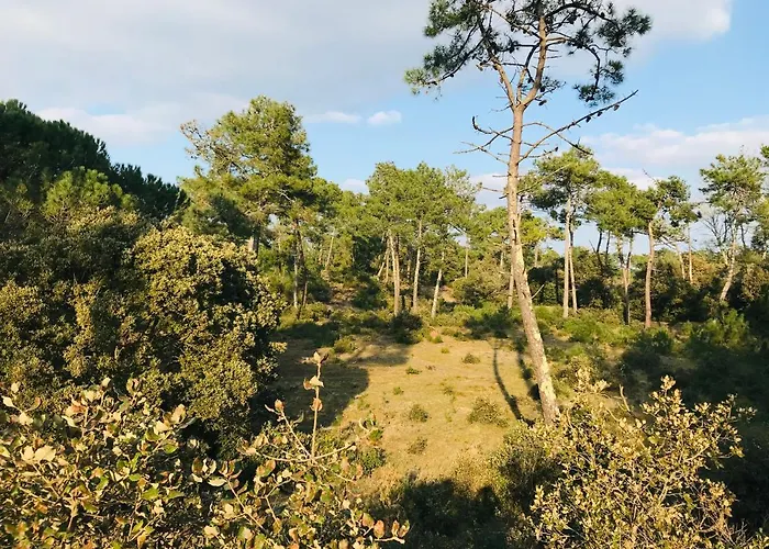 Standing Et Ocean A 50m, De L'oasis Apartmán Saint-Jean-de-Monts