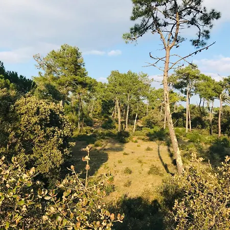 Standing Et Océan à 50m, De L'oasis Appartamento Saint-Jean-de-Monts